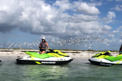 Jetski-Birds-Florda